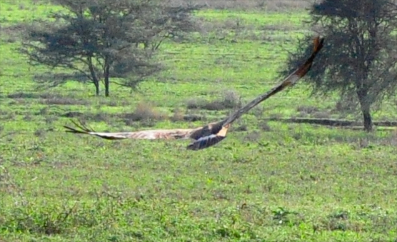 Melanie Heinrich Travel Images Africa